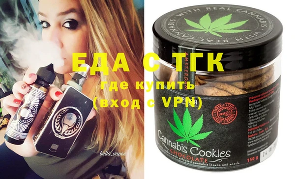 крисы Бородино