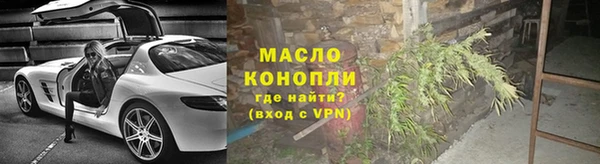 крисы Бородино