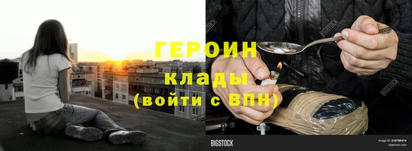 крисы Бородино