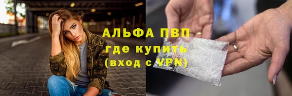 крисы Бородино