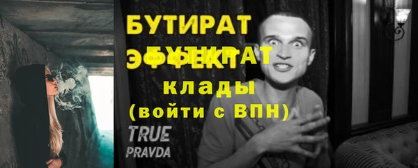 крисы Бородино
