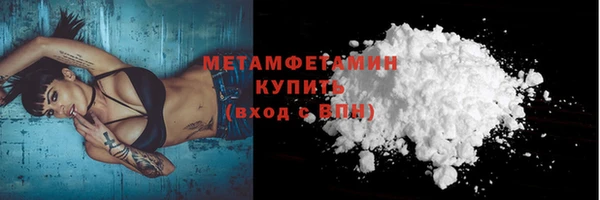 крисы Бородино