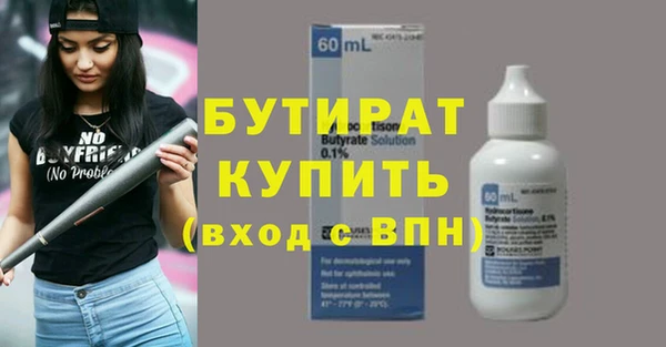 крисы Бородино