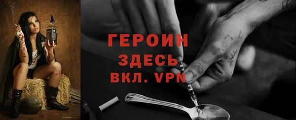 крисы Бородино