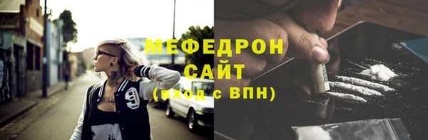 крисы Бородино