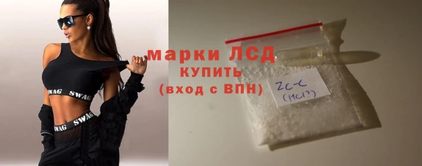 крисы Бородино