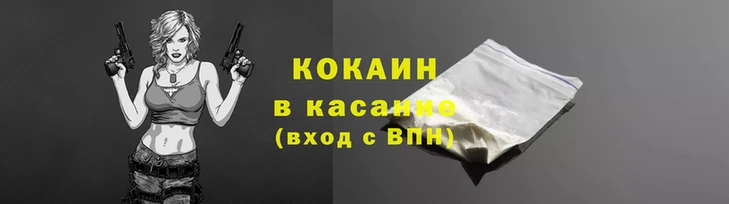 крисы Бородино
