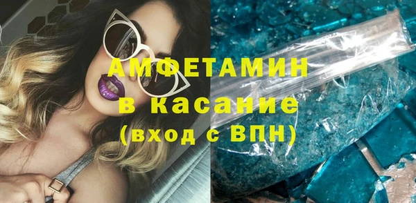 крисы Бородино