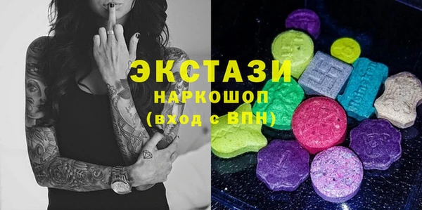 крисы Бородино