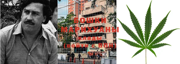 крисы Бородино