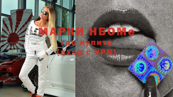 крисы Бородино