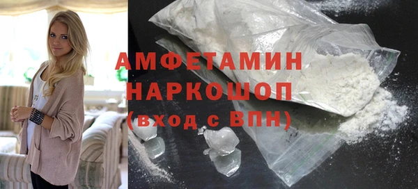 крисы Бородино