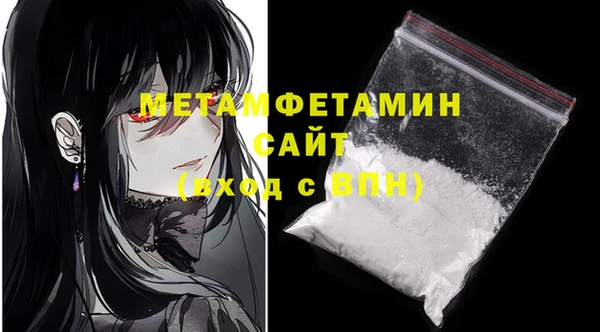 крисы Бородино